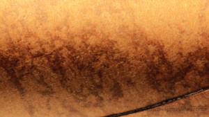 Cuvana Disposable E-Cigar Hand Rolled Look